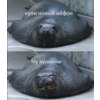---